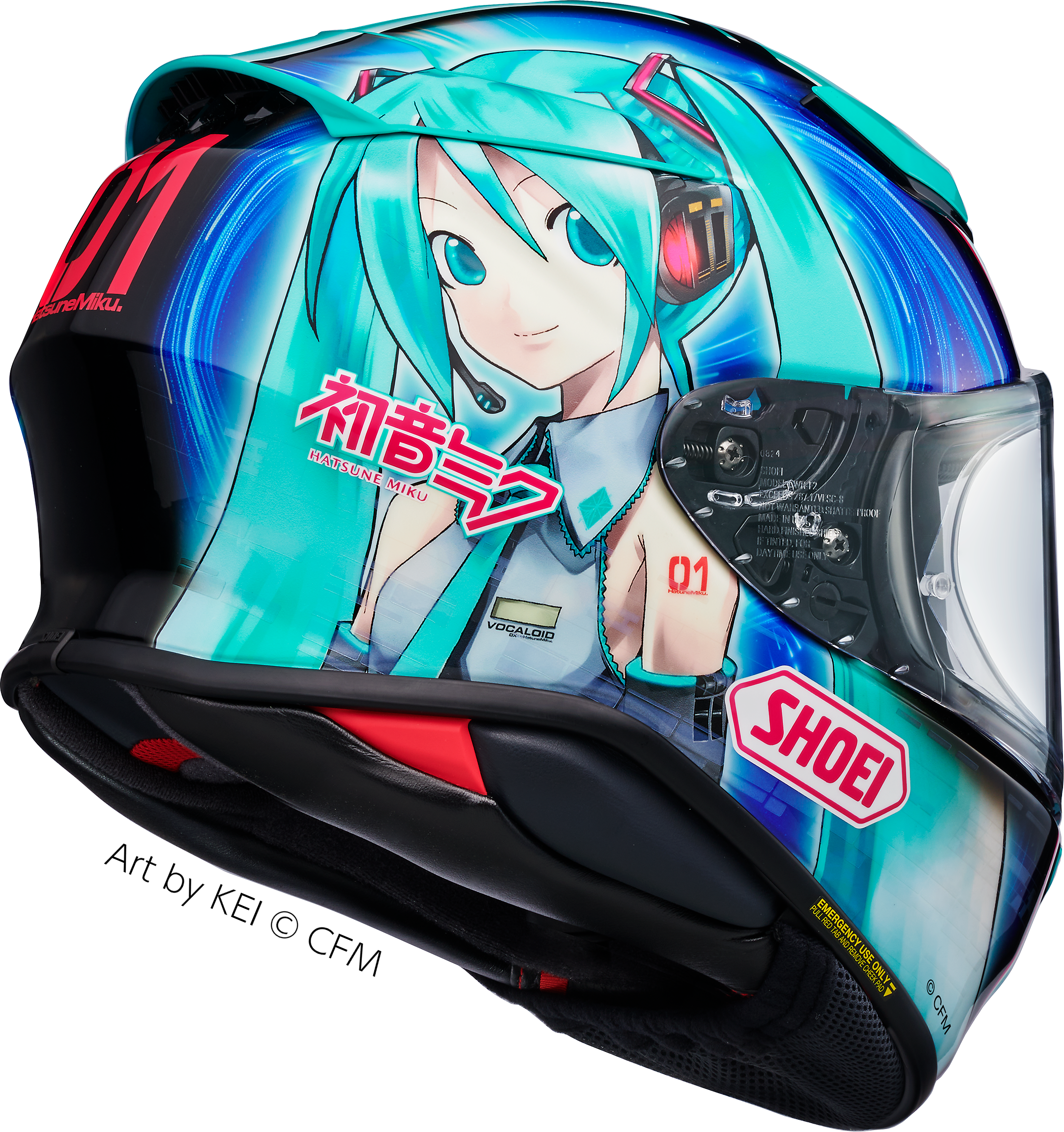 Hatsune-Miku_TC-4_rear